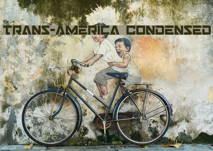 Trans-America Condensed Example 2