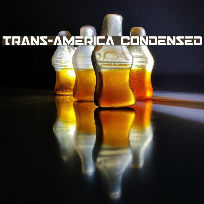 Trans-America Condensed Example 3