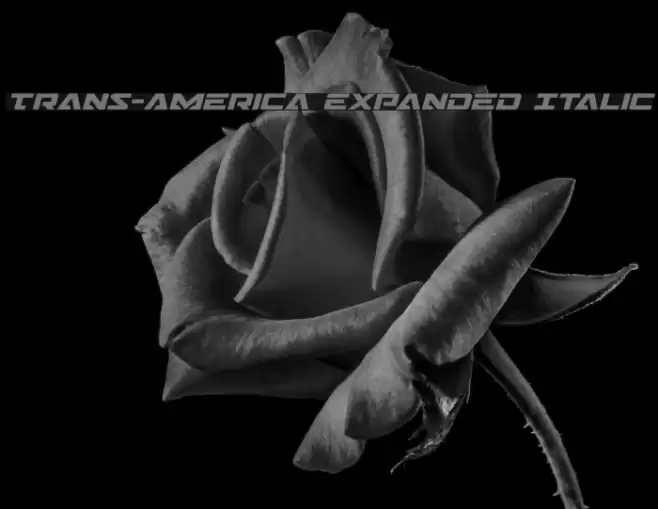Trans-America Expanded Italic Font examples