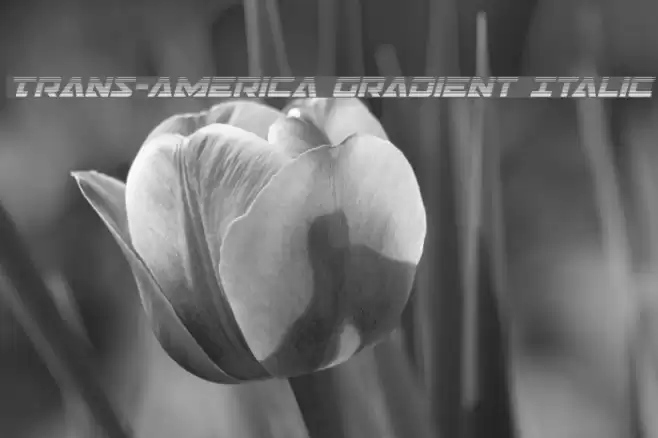 Trans-America Gradient Italic Font examples