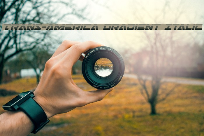 Trans-America Gradient Italic Example 3