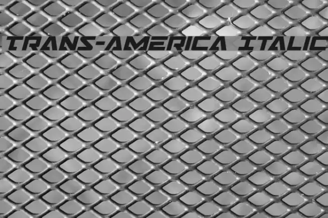Trans-America Italic Font examples