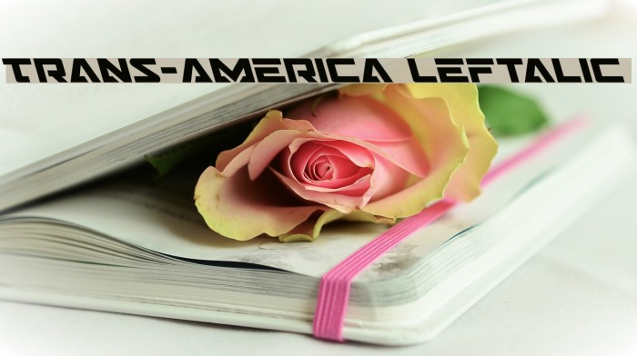 Trans-America Leftalic Example 1