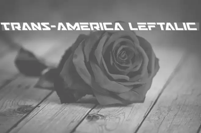 Trans-America Leftalic Font examples