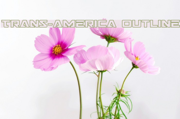 Trans-America Outline Example 1