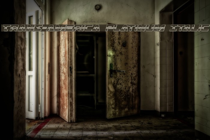 Trans-America Platinum Italic Example 2