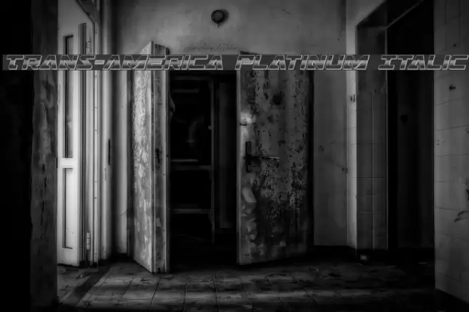 Trans-America Platinum Italic Font examples