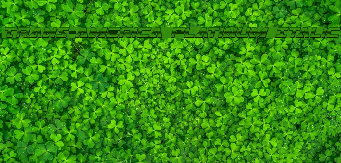 Trans-America Platinum Italic Example 3