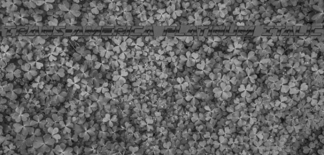 Trans-America Platinum Italic Font examples