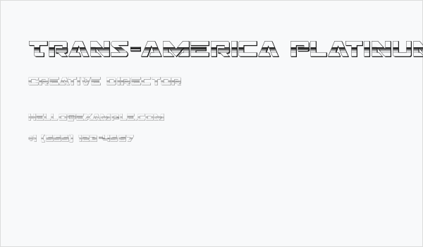 Trans-America Platinum Business Card