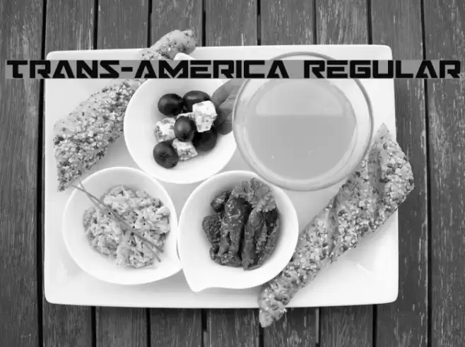 Trans-America Regular Font examples