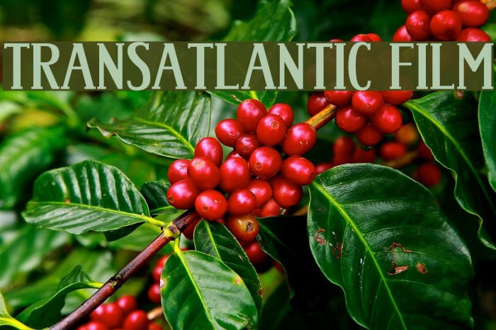 Trans-Atlantic Film Font examples