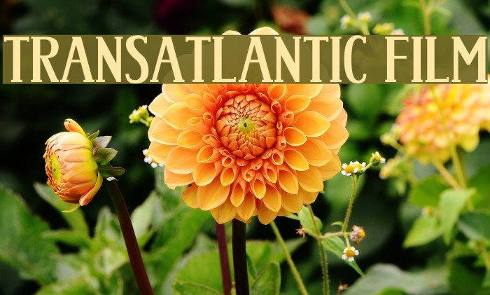 Trans-Atlantic Film Font examples
