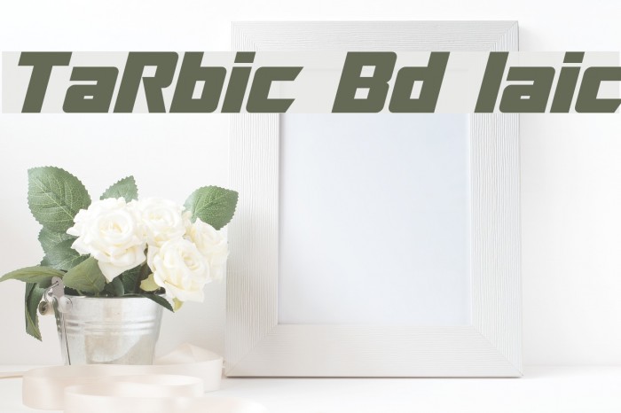 TransRobotics Bold Italic Font examples