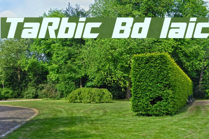 TransRobotics Bold Italic Font examples