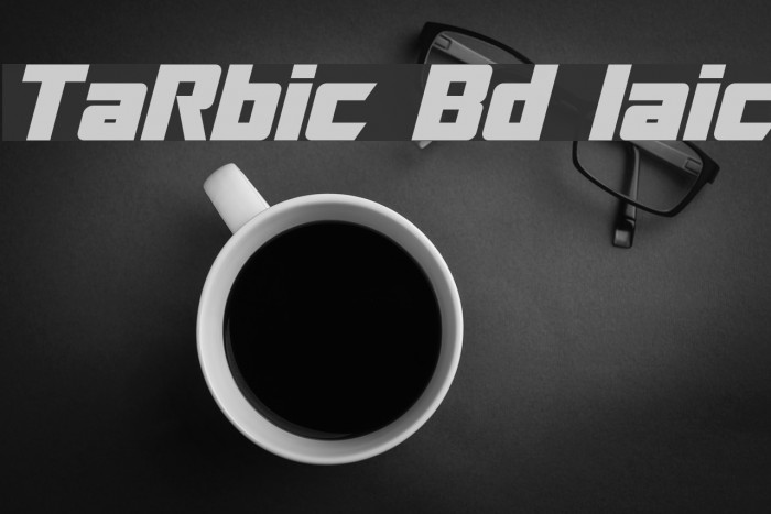 TransRobotics Bold Italic Font examples