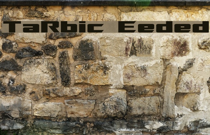 TransRobotics Extended Fonte examples
