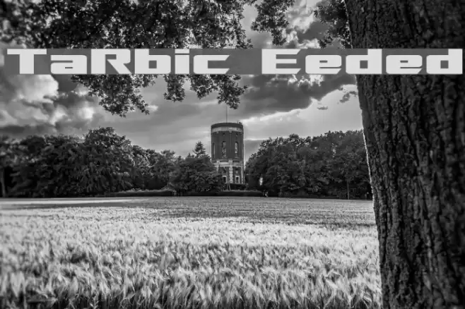 TransRobotics Extended Font examples