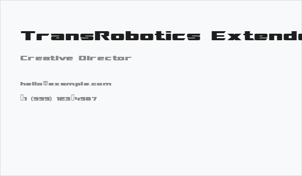TransRobotics Extended Business Card