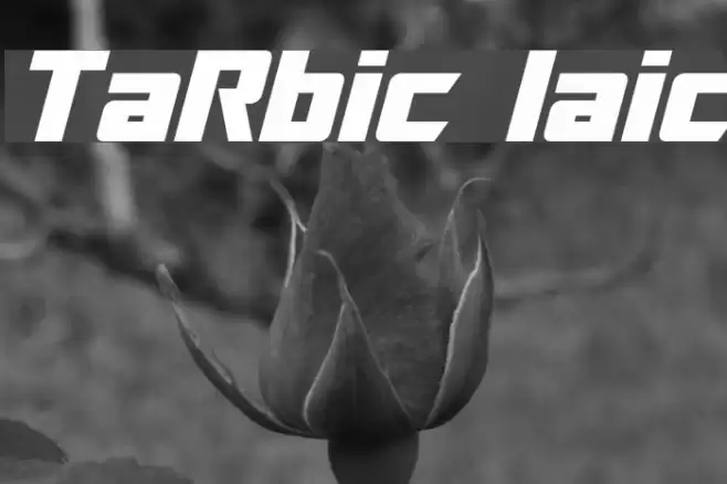 TransRobotics Italic Font examples