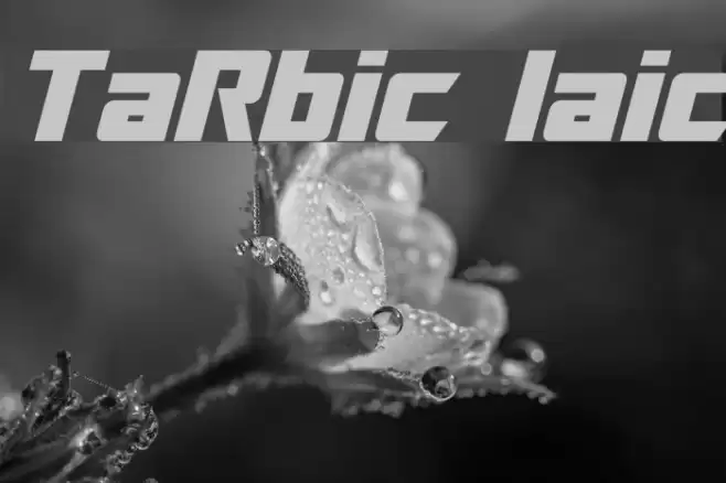 TransRobotics Italic Font examples