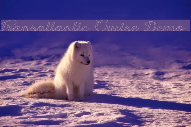 Transatlantic Cruise Demo Example 1