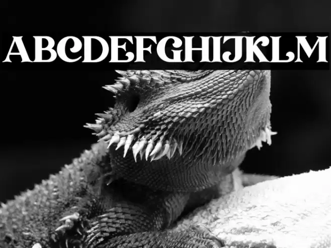 Transcity Font examples