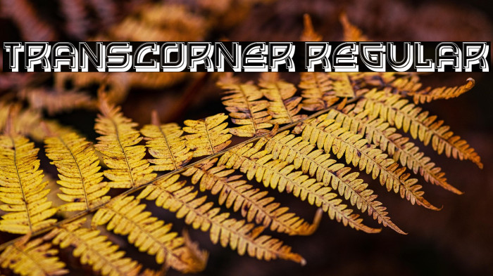 Transcorner Regular Example 1