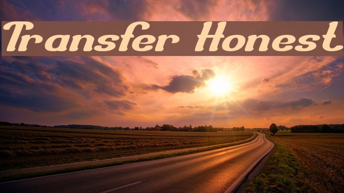 Transfer Honest Font examples
