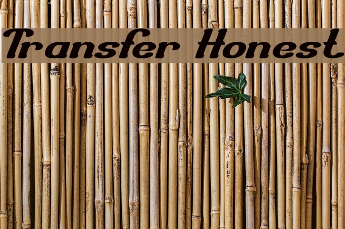 Transfer Honest Font examples
