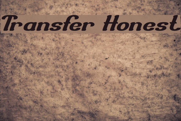 Transfer Honest Font examples