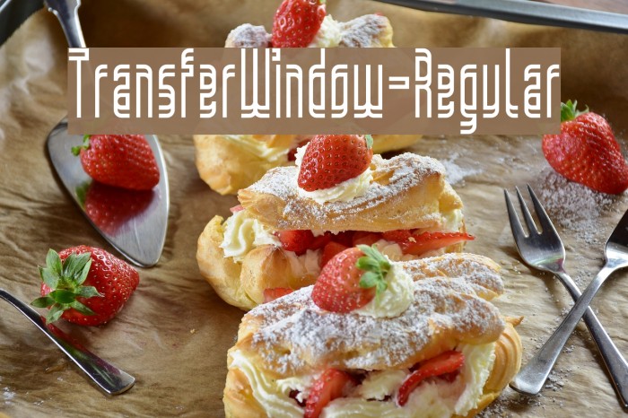 TransferWindow-Regular Example 1