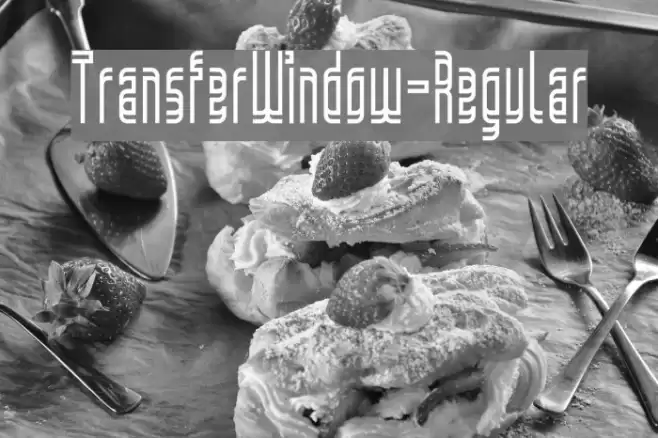 TransferWindow-Regular Font examples