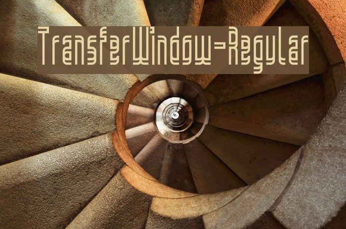 TransferWindow-Regular Example 3