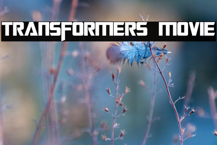 Transformers Movie Example 3