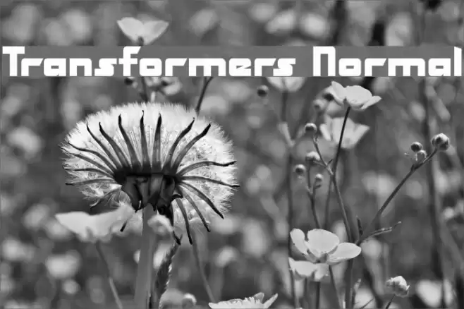 Transformers Normal Fuentes examples