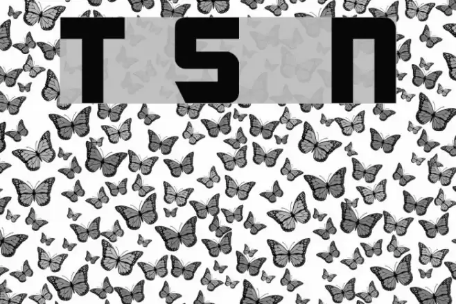 Transformers Solid  Normal Font examples