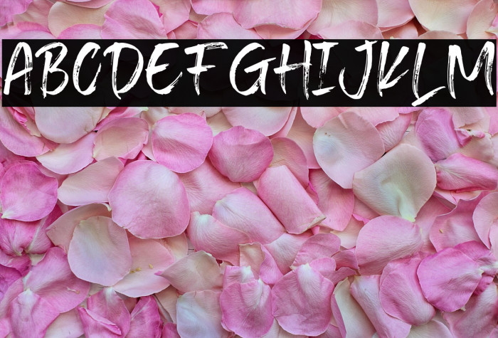 Transine  Brush Regular Example 3