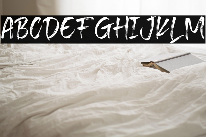 TransineBrush-Regular Example 1