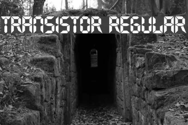 Transistor Regular Font examples