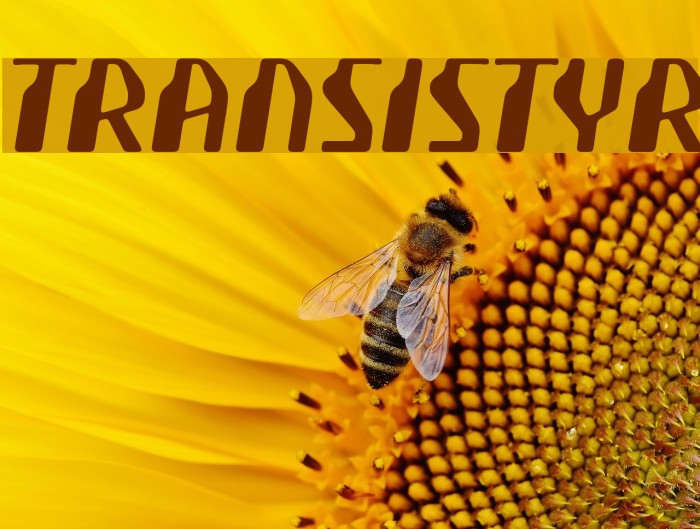 Transistyr Example 1