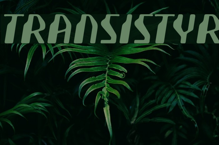 Transistyr Example 2