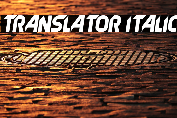 Translator Italic Example 1