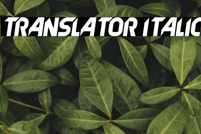 Translator Italic Example 2