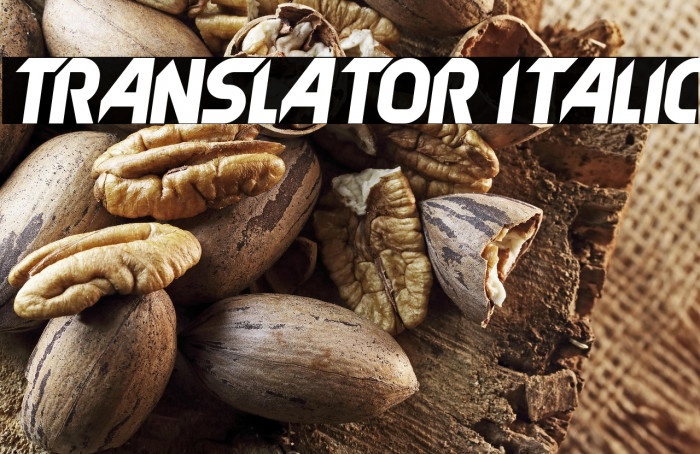 Translator Italic Example 3