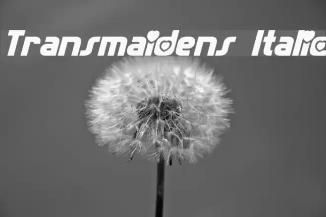 Transmaidens Italic Font examples
