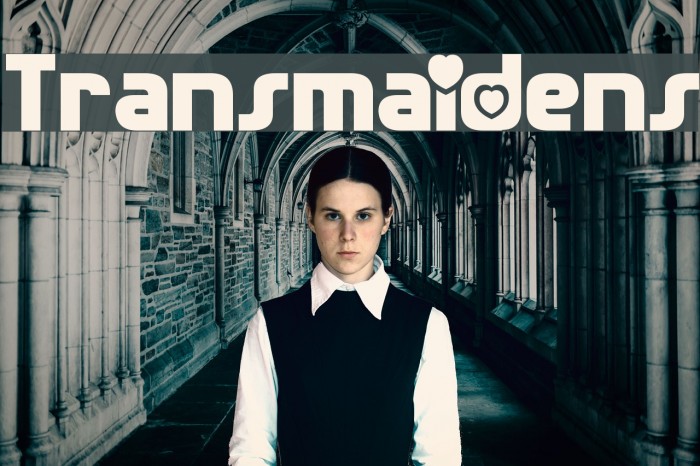 Transmaidens Example 1