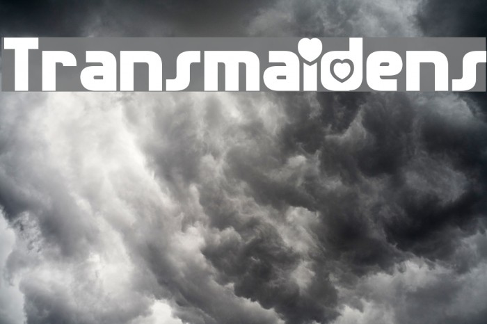 Transmaidens Example 2