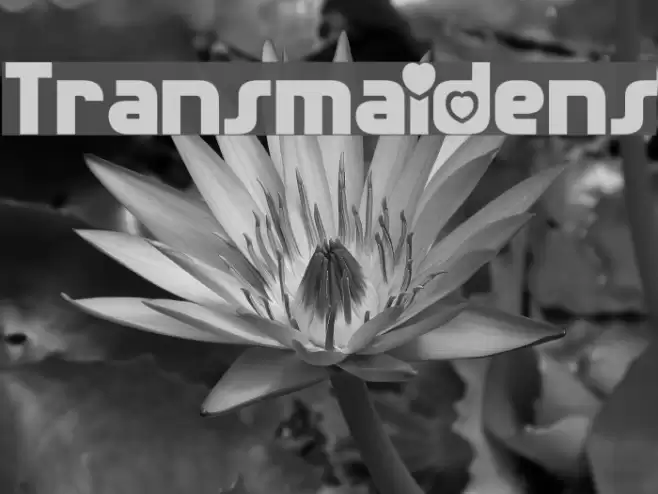 Transmaidens Font examples