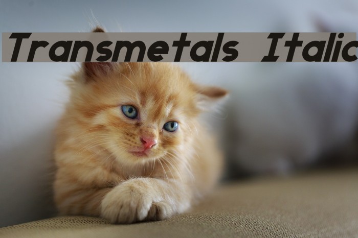 Transmetals Italic Font examples